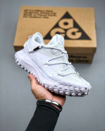 Replica Nike ACG Mountain Fly Low GTX SE White