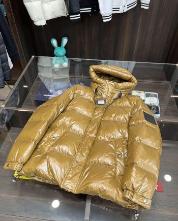 Replica GUCCI 2023ss new arrivals down jackets