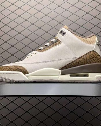 Replica Air Jordan 3 Retro Palomino CT8532-102